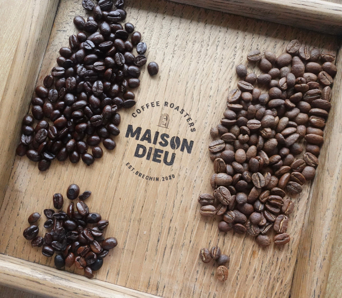 Speciality Coffee vs Chain Coffee