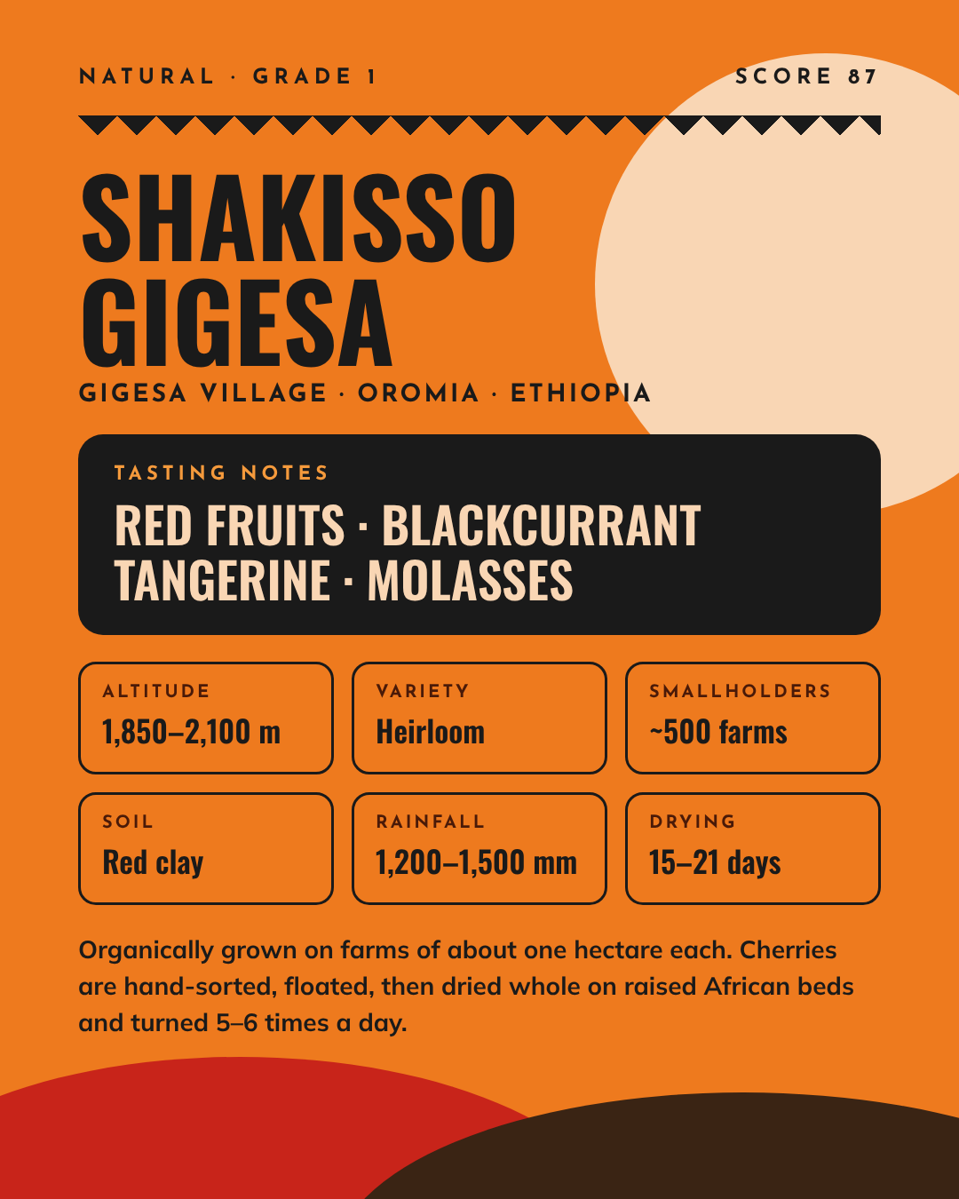 Shakisso Gigesa