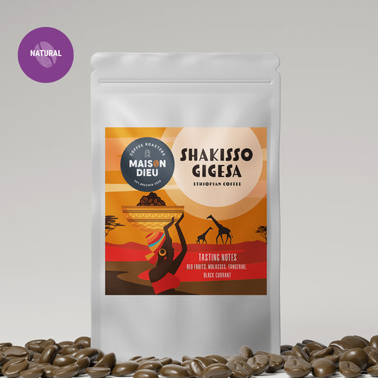 Shakisso Gigesa